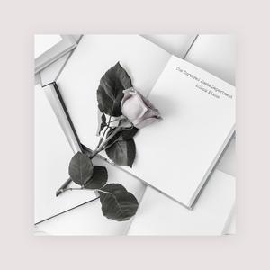 男人添女人下部高潮全视频
